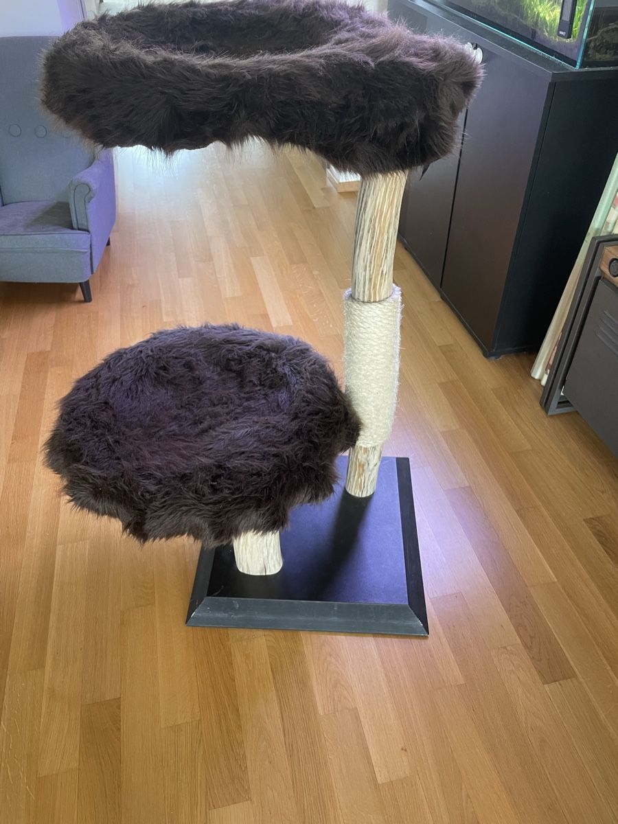 Katzenbaum - Kratzbaum: Katzenkratzbaum – Gebraucht aus Basel von Diana214
