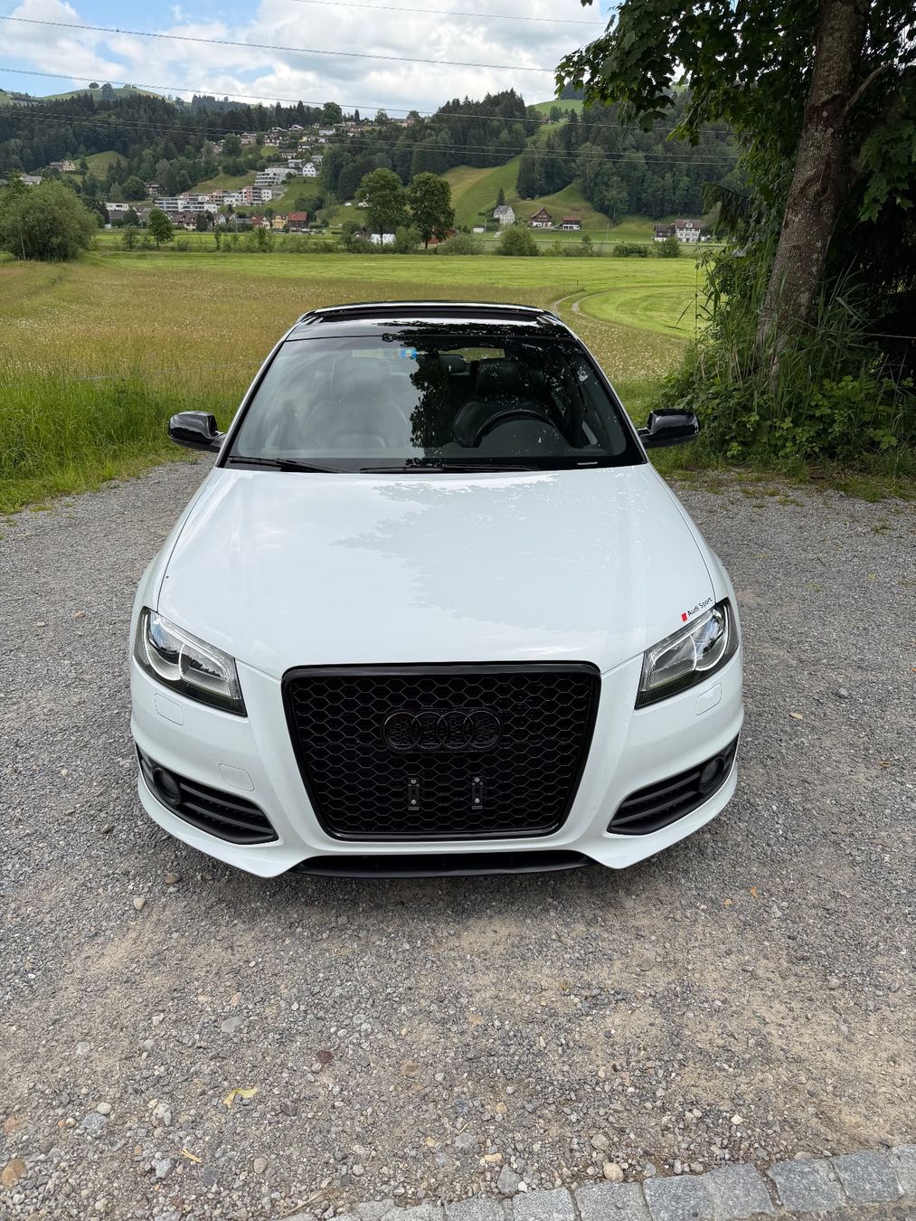 Automobili: Einzigartiger Audi S3 mit Audi EXCLUSIVE – Usato da Ulisbach venduto da sc.performance 1
