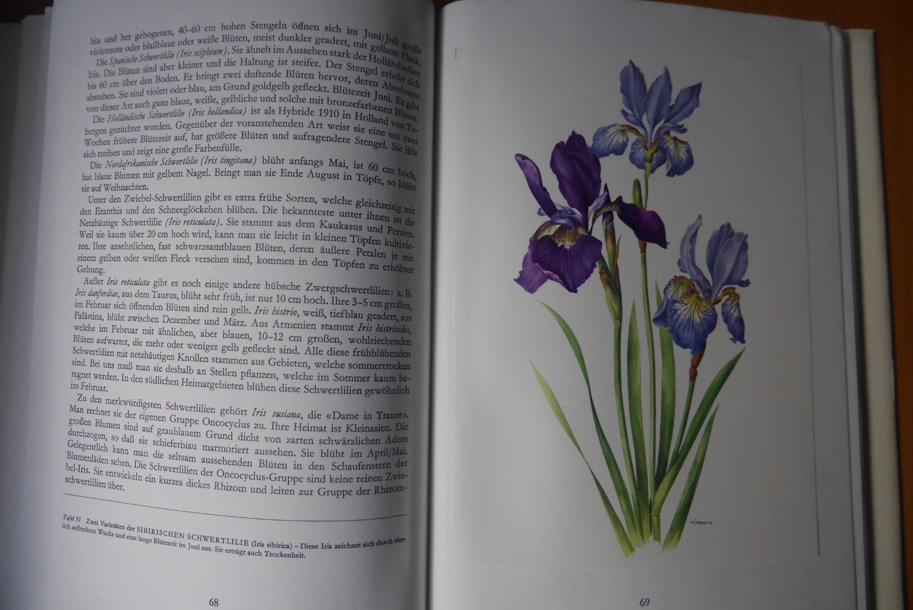 Libri: Wunderwelt der Gartenblumen – Usato da Brunnadern venduto da lesezirkel 2