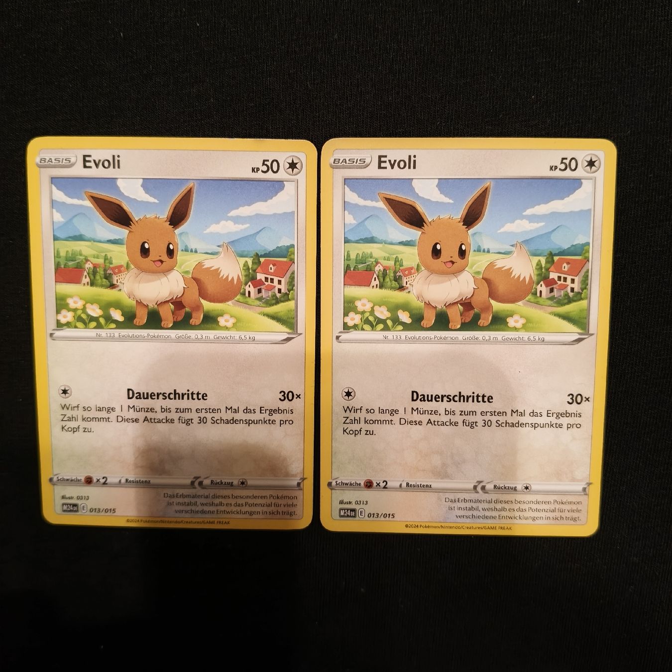 Pokémon Carte collezionabili: 2x Pokémon Evoli – Nuovo (secondo la descrizione) da Niederweningen venduto da Swiss_fan_