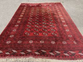 Afghanistan Buchara  Teppich 