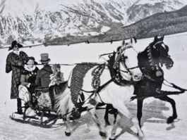 Antike Postkarte Pferdeschlitten Winter Schweiz 1956 Steiner