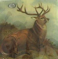 Serviette Lordly deer 25x25 (t268) 2Stk.