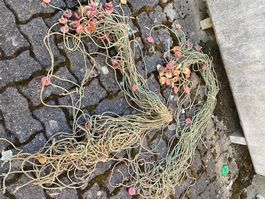 Bund alte Garbenschnüre Garbe Schnur Feld Bauer Decko Shaby