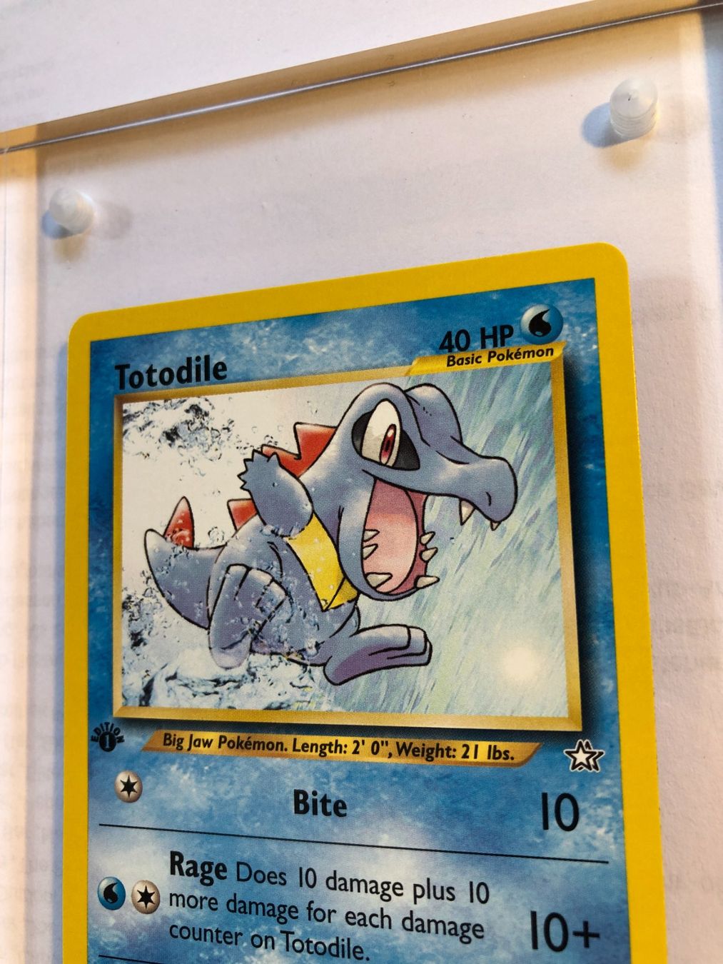 Sammelbilder & Trading cards: Totodile 1st Neo Genesis - MINT - ab 1.- – Gebraucht aus Giubiasco von dan_pr8b 3