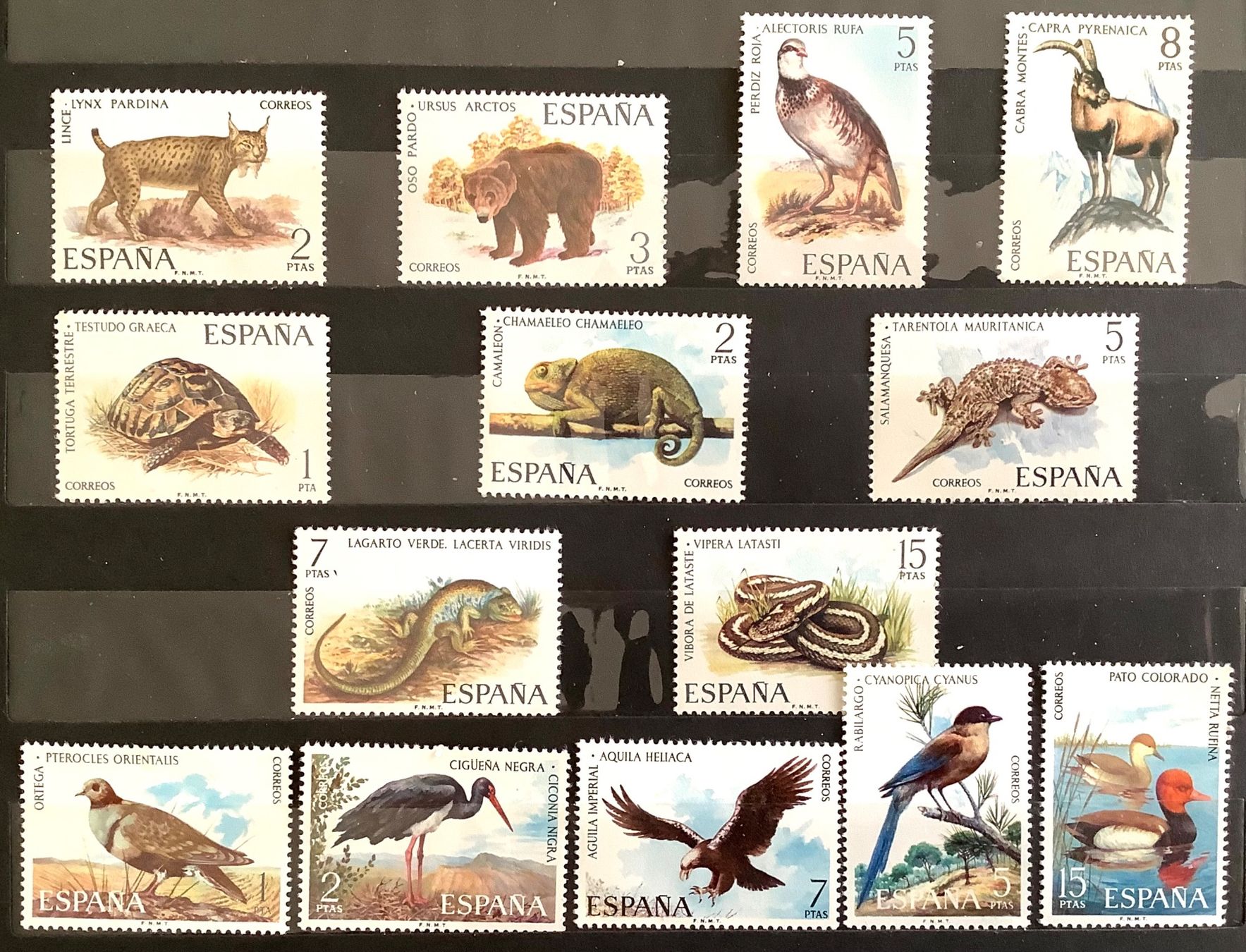 Tutti i francobolli: 1971-74 - Spanien / Tierwelt - 3 Sätze Postfrisch ** – Nuovo (secondo la descrizione) da Liestal venduto da Skunk02