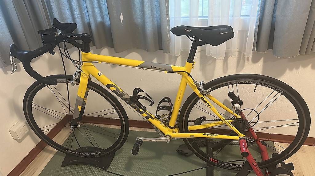 Biciclette: Giant M mai usata appena revisionata  – Usato da Moghegno venduto da lil_b8l8