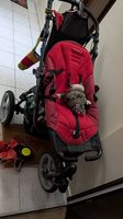 Bebe confort Kinderwagen & pusset