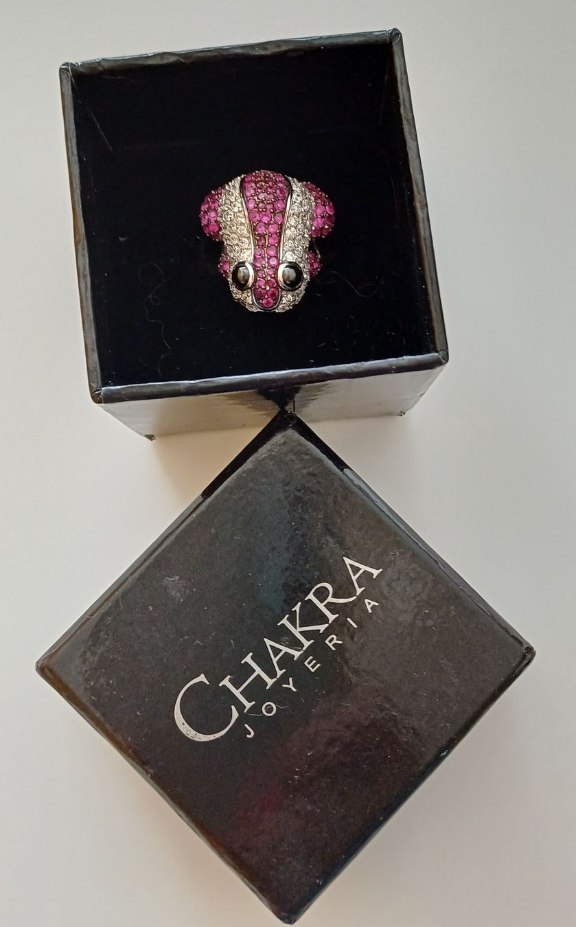 Ringe: Silberring 925 Frosch – Gebraucht aus Stein AG von Brina_85