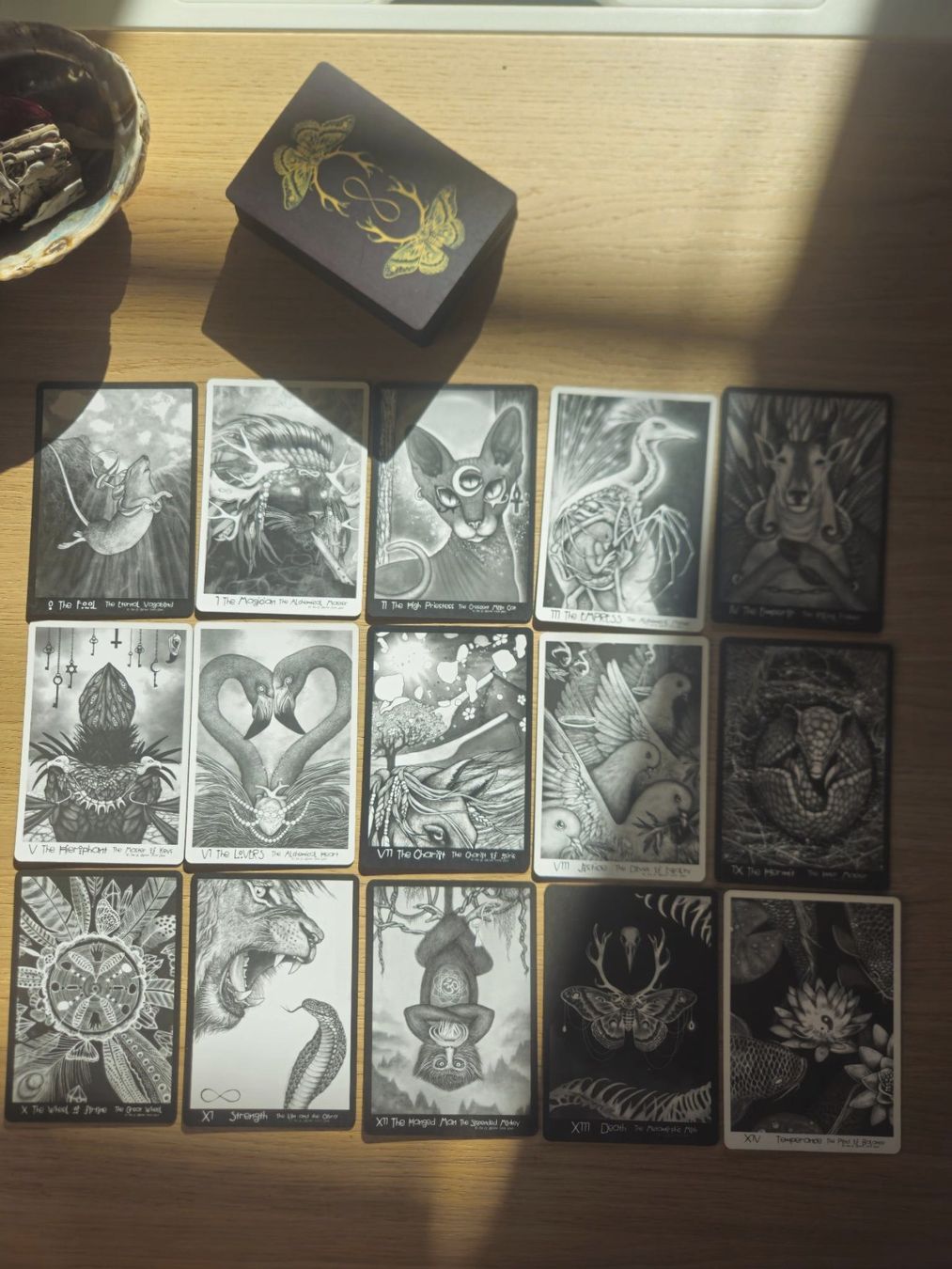 Libri: The El Goliath Tarot Deck 2nd Edition – Usato da Nuglar venduto da mjc_cw9f 3