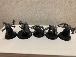 Warhammer 40000 Symbiontenkult
