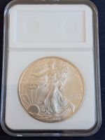 American Eagle Silberdollar 2008 in Kapsel