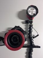 Olympus PEN E-PL1 mit Unterwassergehaeuse und um Blitz