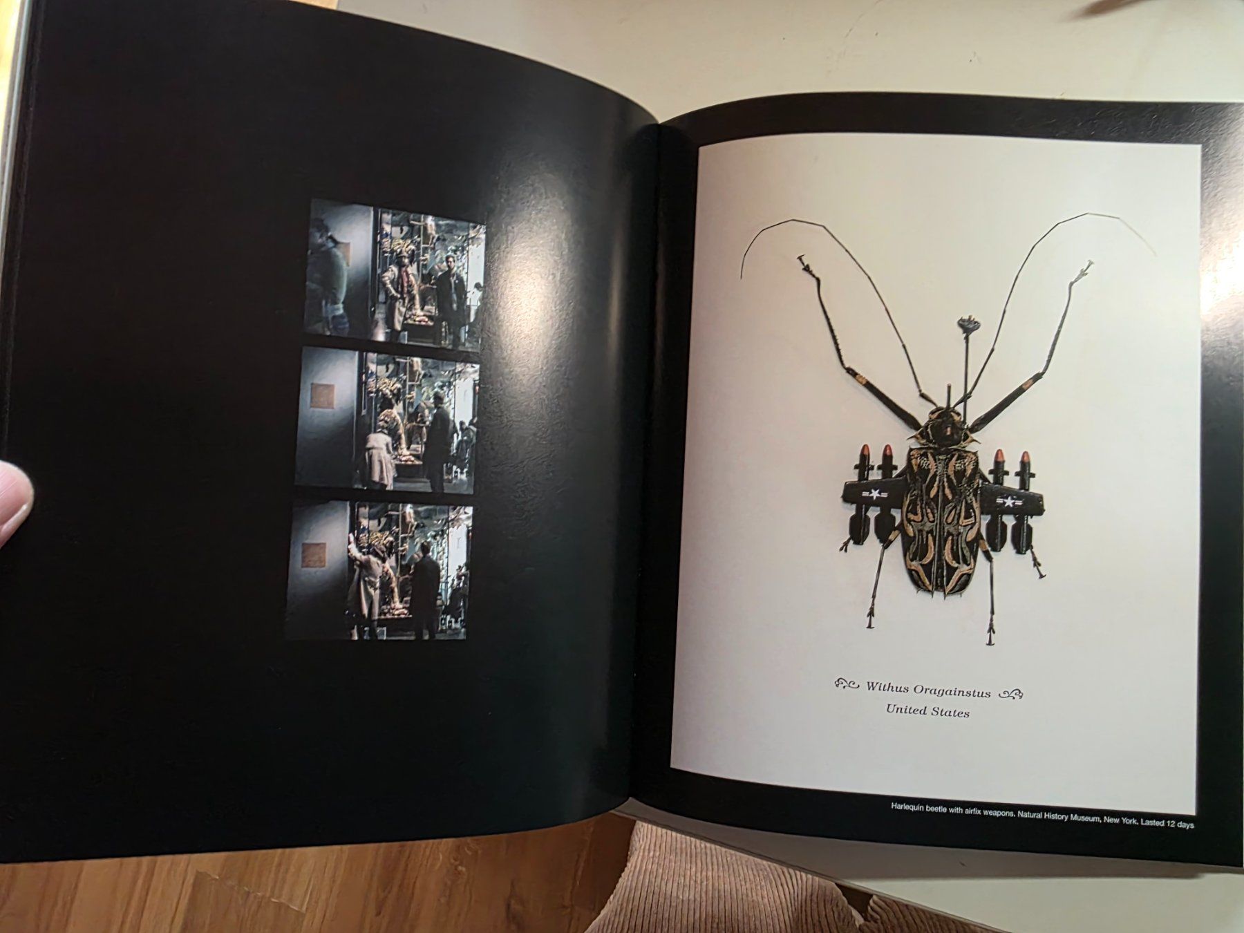Bücher: Bansky - Wall and Piece - 2005 – Gebraucht aus Walterswil BE von Lonitti 9