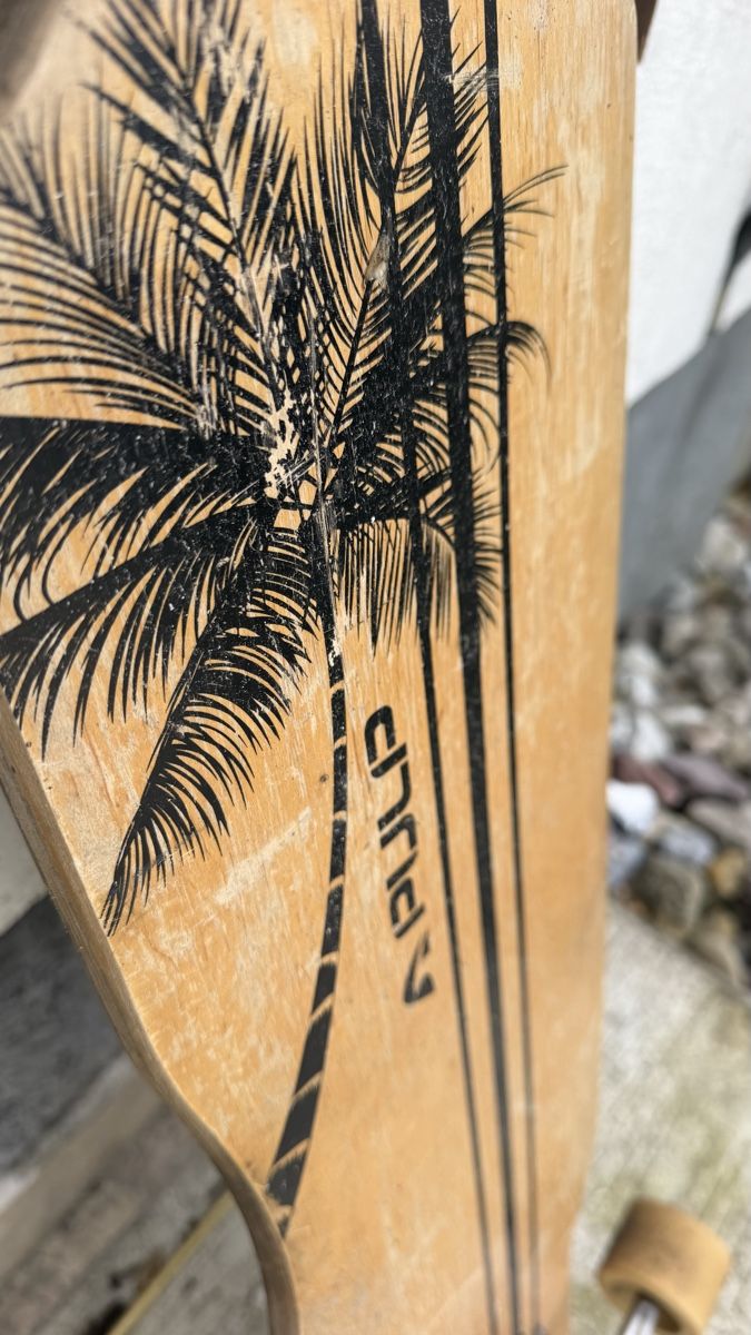 Skateboards: Longboard Skateboard Pulp  – Usato da Lengnau AG venduto da Doubledoor 2