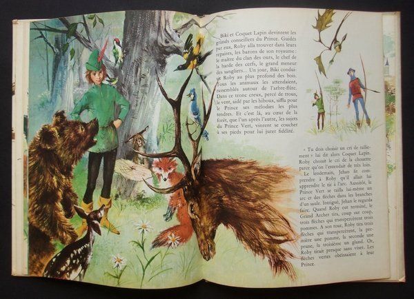 Libri: Le prince vert – Usato da Neuchâtel venduto da Dualseele 2