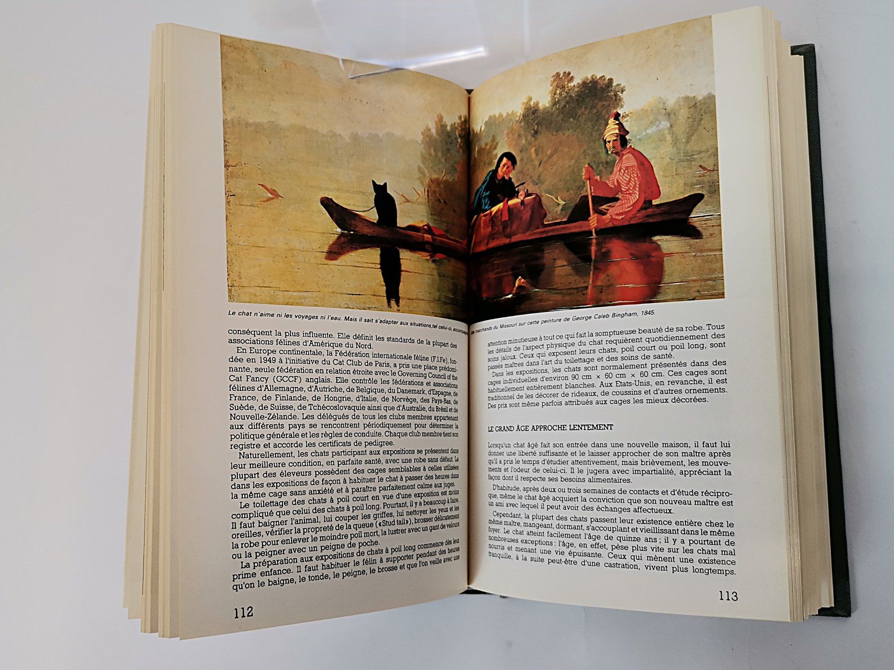 Livres: BUCH  les chats – D'occasion à Schaffhausen par Restwert_SH 7