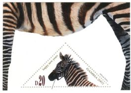 Block "Zebra". Gambia.