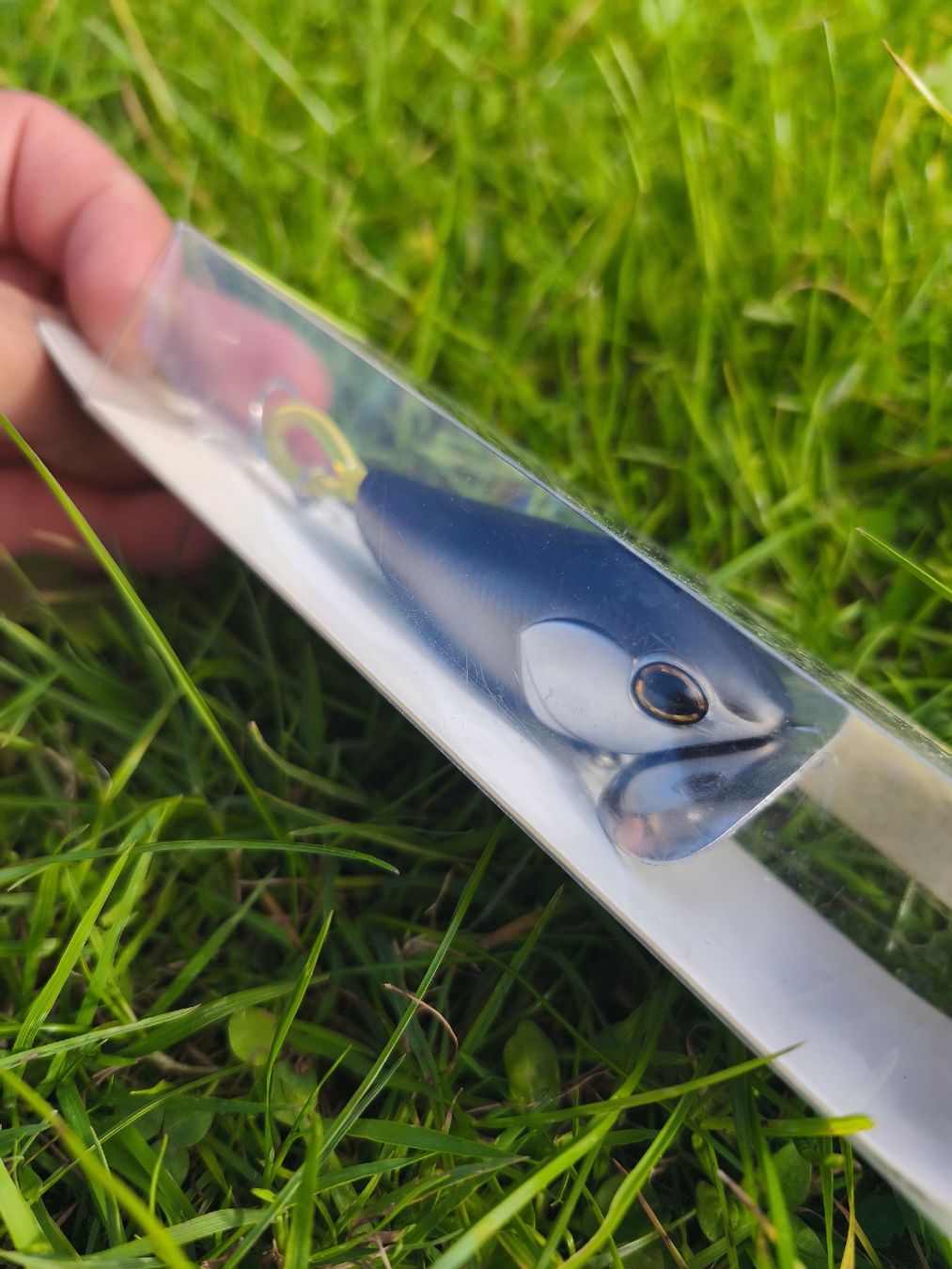 Daiwa Esche: Daiwa Hooking Noisy – Nuovo e nell'imballaggio originale da Sarnen venduto da sebalant 2