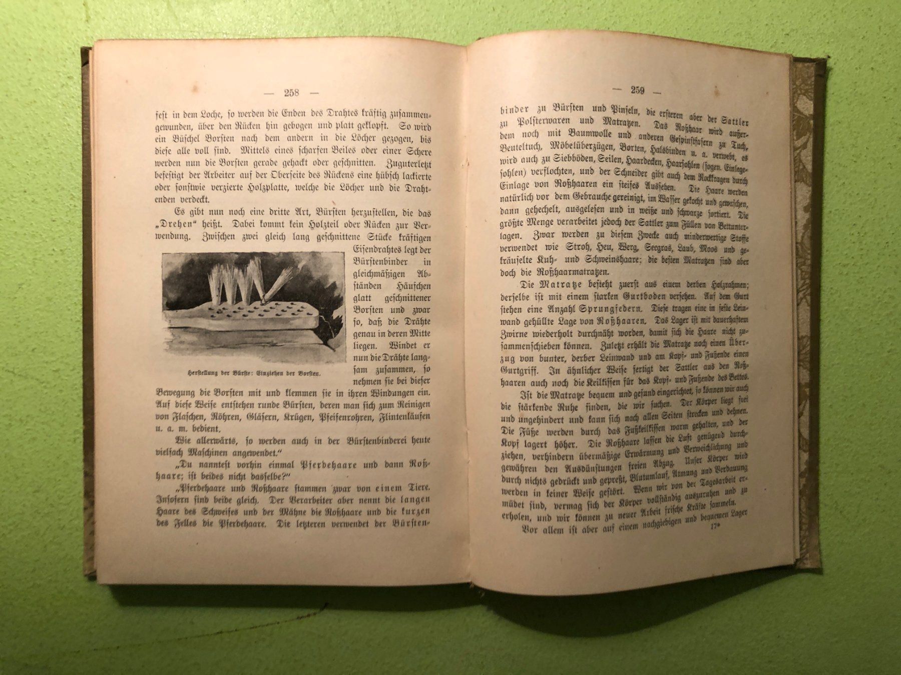 Libri: Max Eschner: Natur und Menschenhand – Usato da Zürich venduto da allp 8