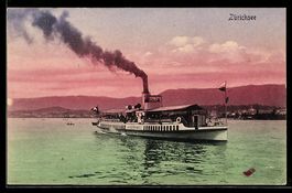 Dampfer Waedenswil in Fahrt auf dem Zür