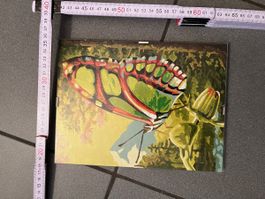 Quadro dipinto a mano con farfalla, motivo primaverile!
