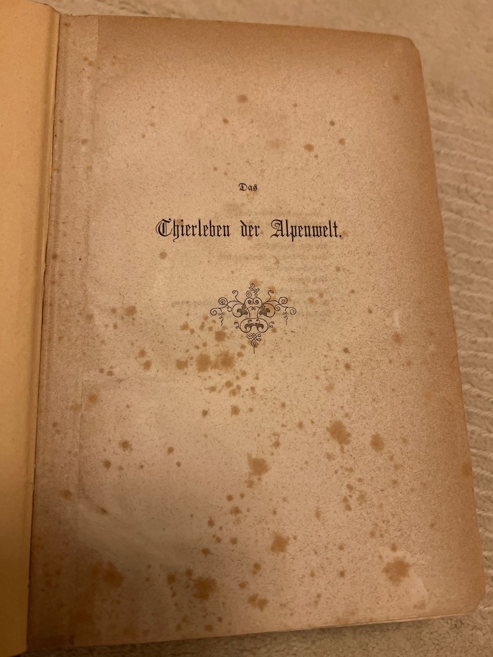Bücher: Das Thierleben der Alpenwelt, Leipzig, 1860 – Gebraucht aus Endingen von chocosweet