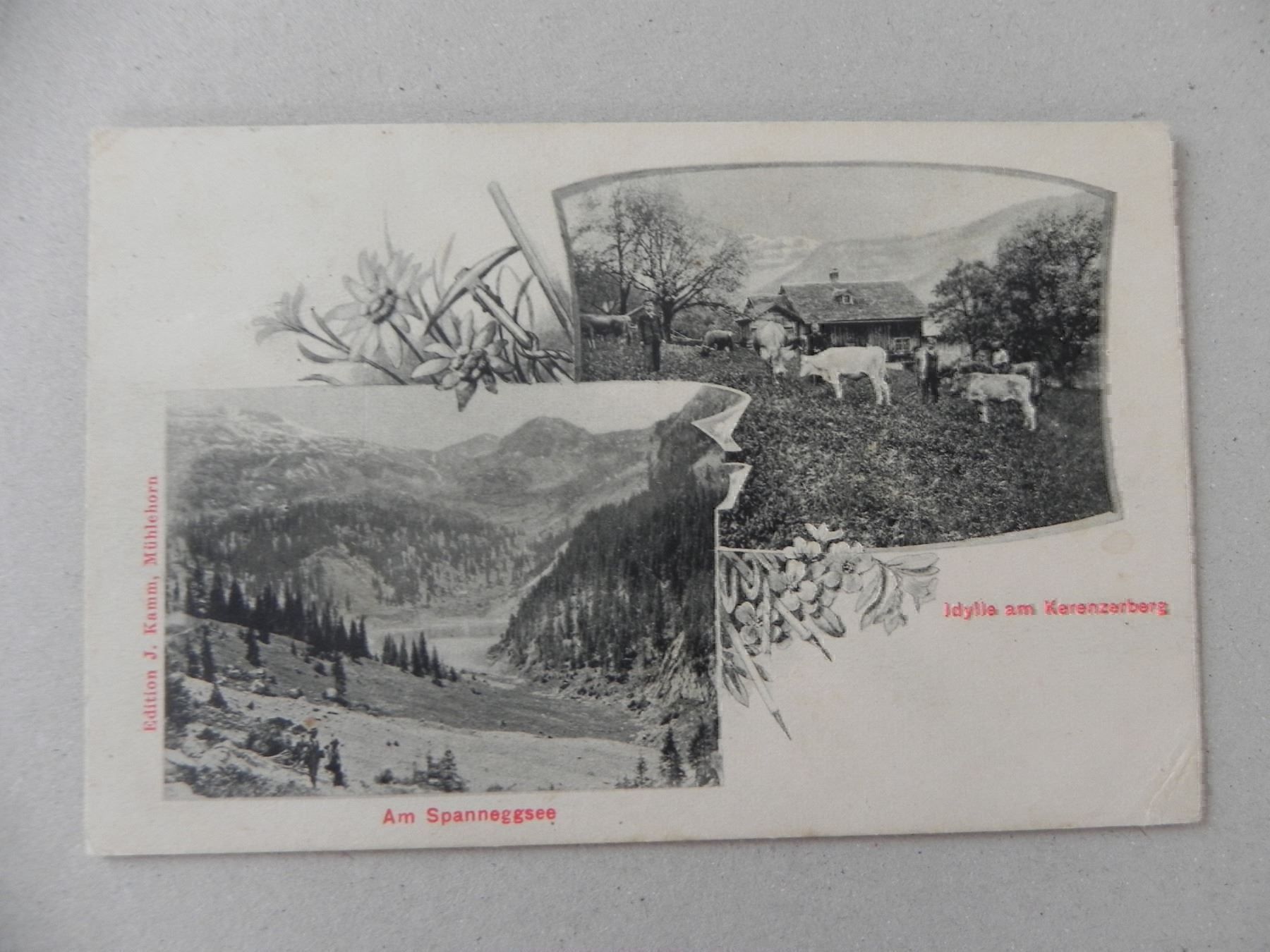 Cartoline postali: Ansichtskarte Kerenzerberg Glarus 1900 – Usato da Siebnen venduto da krimsie