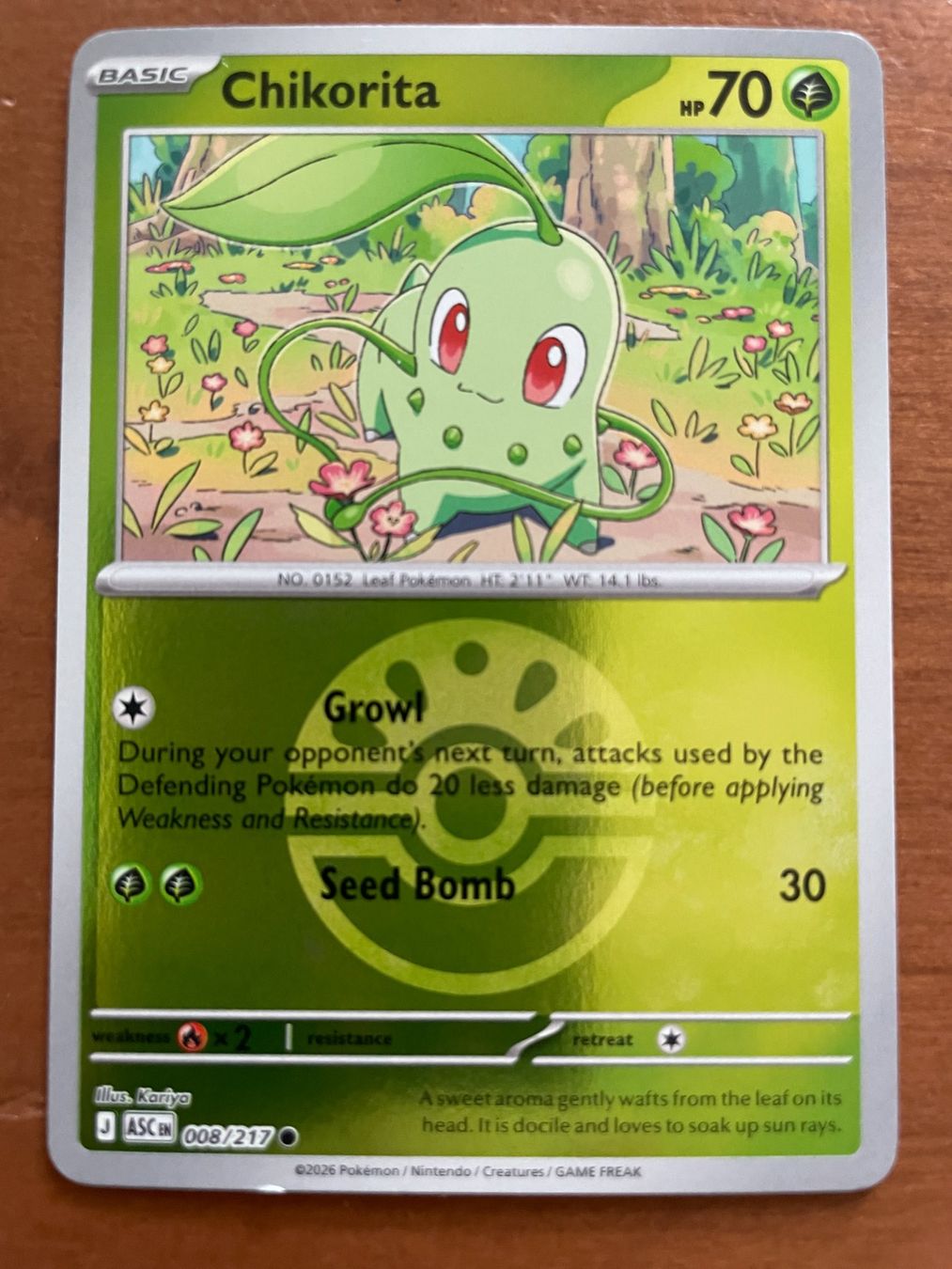 Pokémon Carte collezionabili: Pokemon Chikorita Reverse (Versand gratis) – Nuovo (secondo la descrizione) da Chur venduto da Angerson