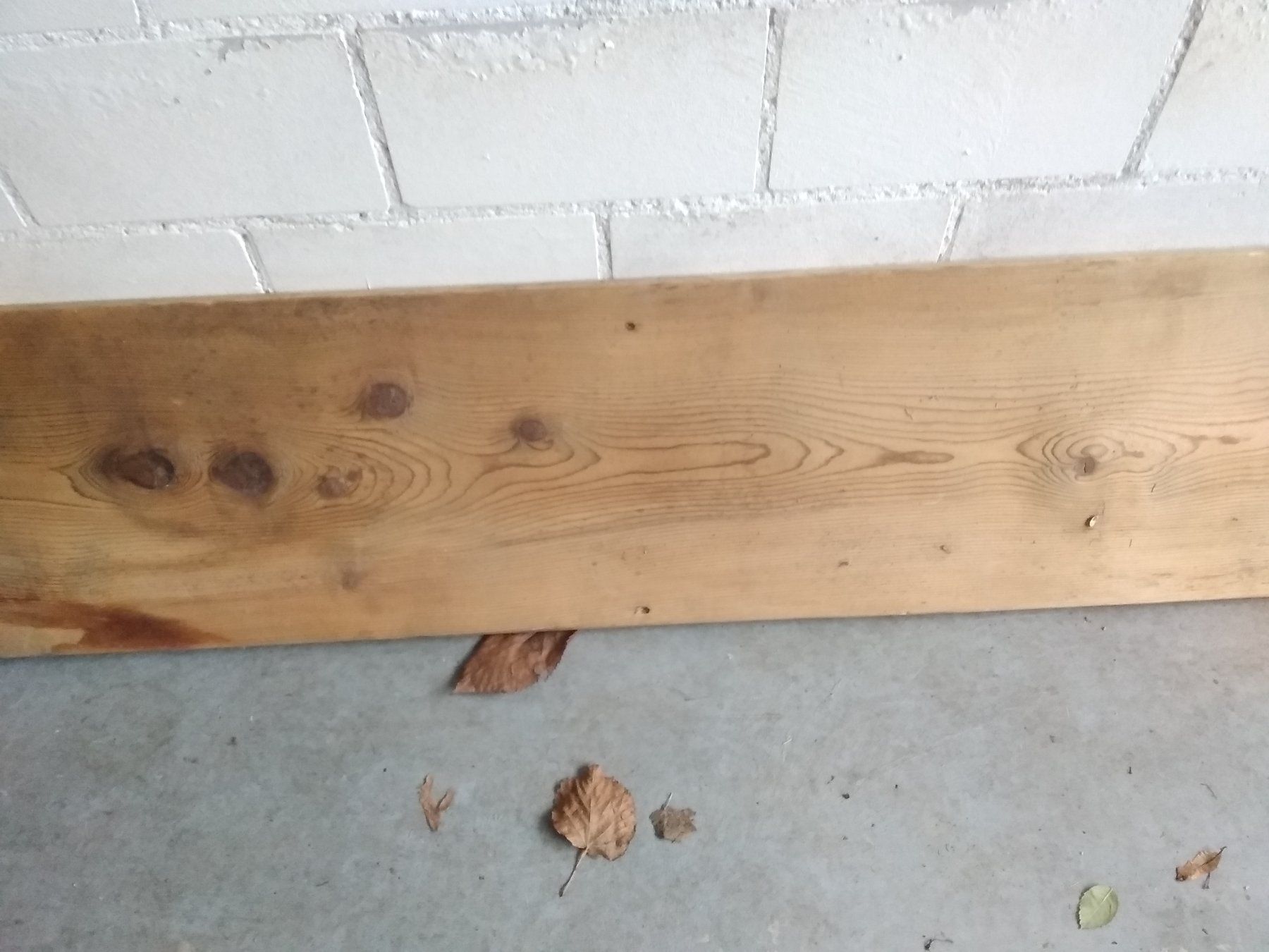 Articoli in legno: Altholz Brett knapp 3m x 30cm – Usato da Siblingen venduto da Jayuah 2