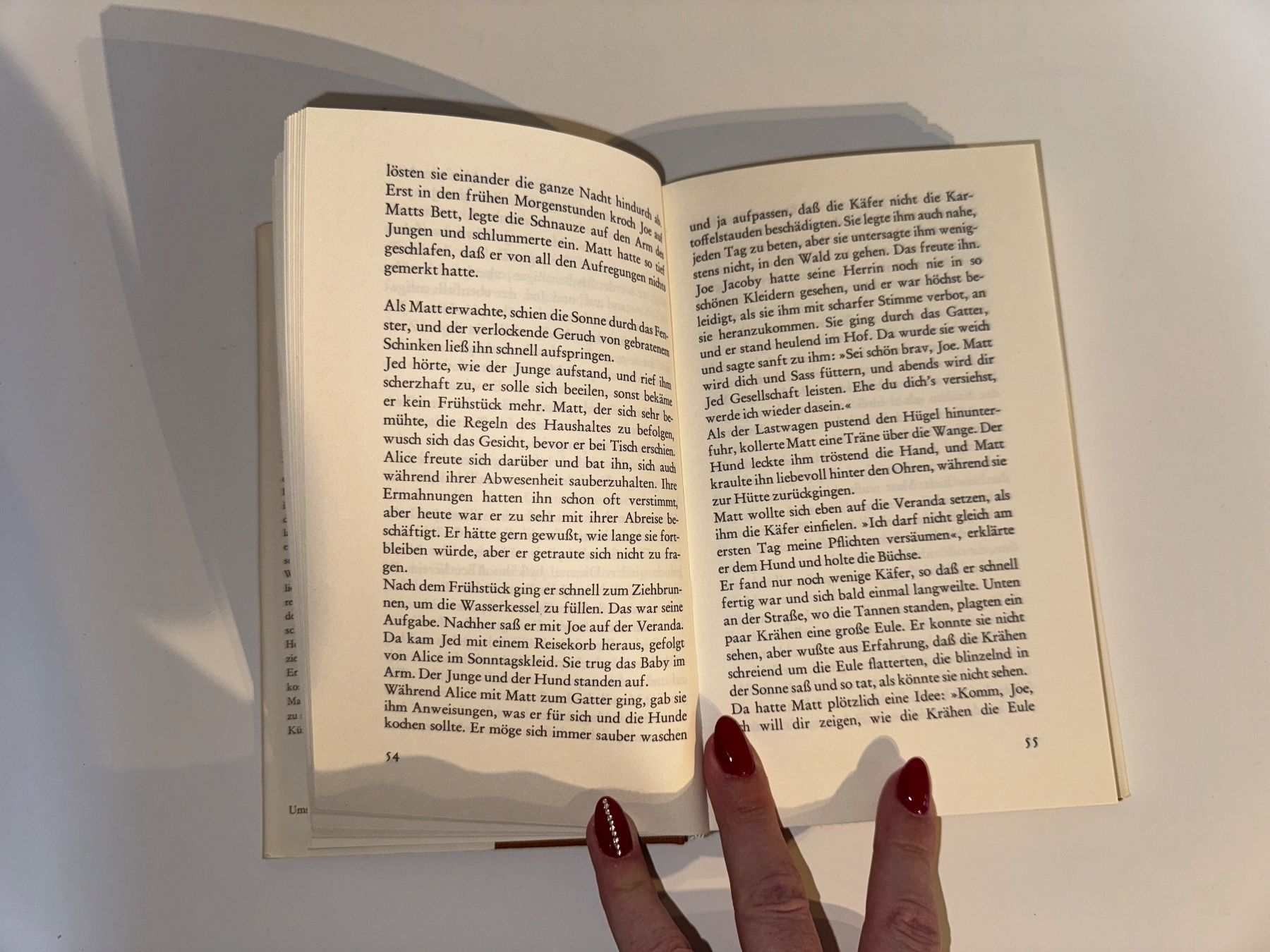Livres: Buch: Junius Watson, Joe der Setter – D'occasion à Grosswangen par Second_hand_paradise 3