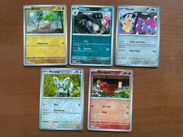 Pokemon Reverse Karten Set (Versand gratis)