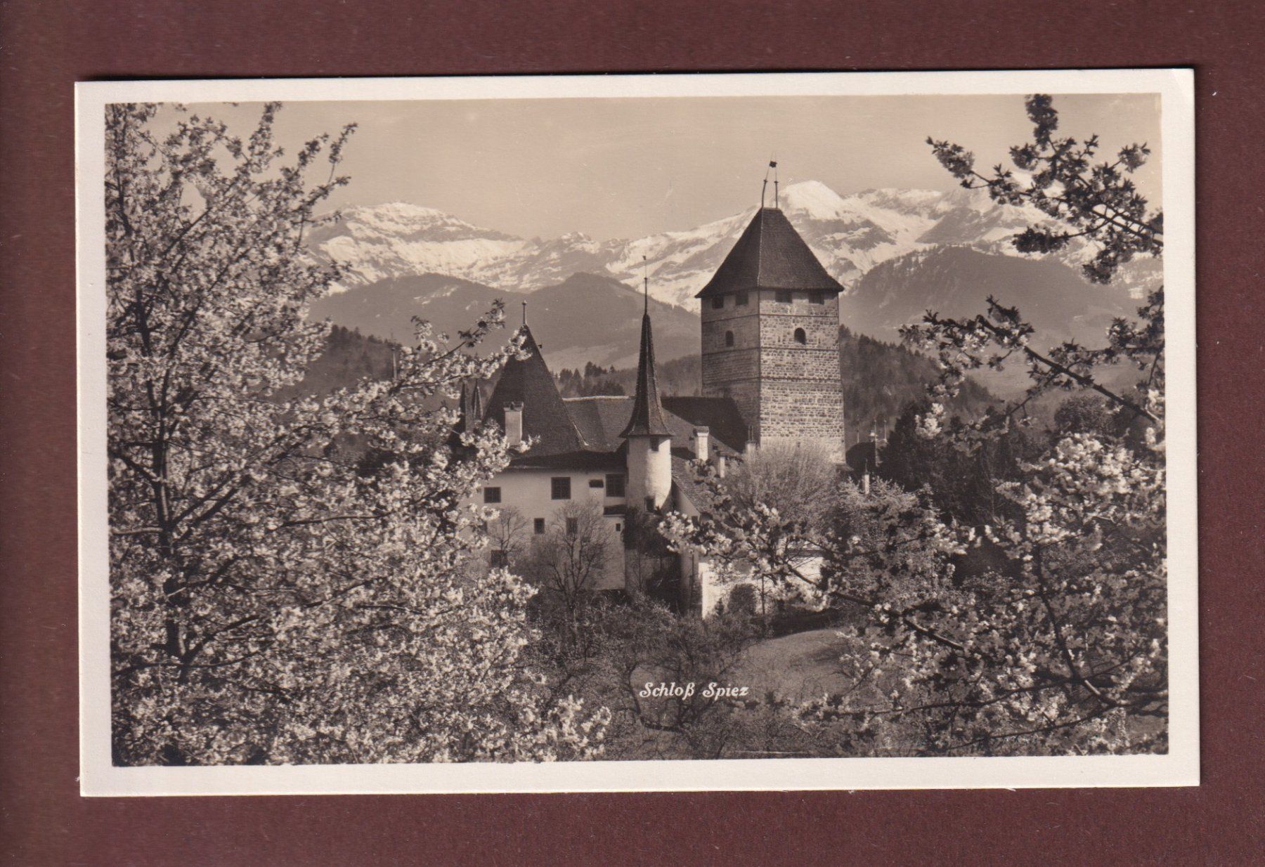Ansichtskarten: SPIEZ - Schloss - Frühling – Gebraucht aus Pully von nicecards-shop