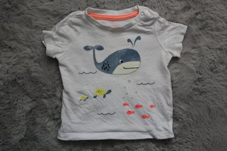 Baby T-Shirt Wal Motiv in Gr. 62 - Top Zustand