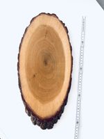 Rustikale Holzplatte Baumscheibe Servierplatte Deko