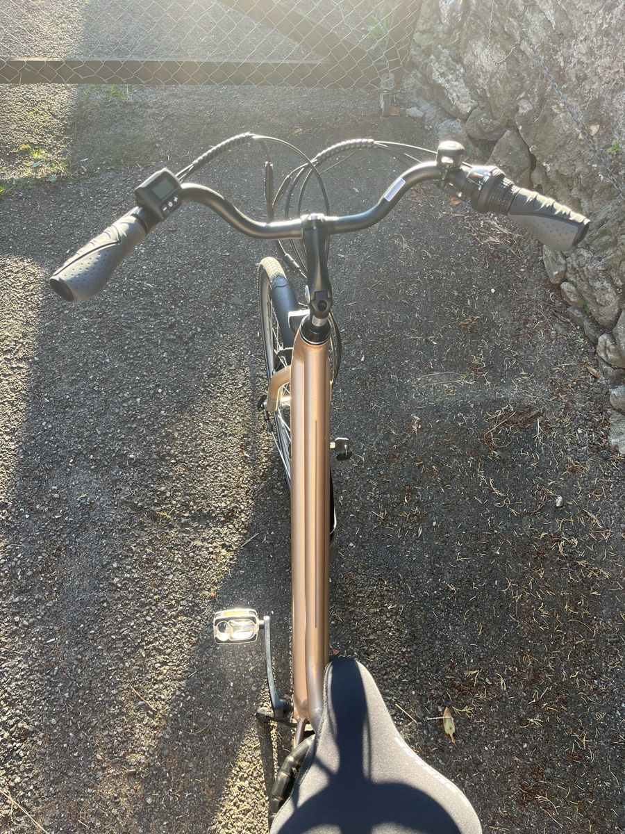 Zenith Bikes Biciclette: E-Bike 2 jährig – Usato da Toffen venduto da slo_5j7d 2