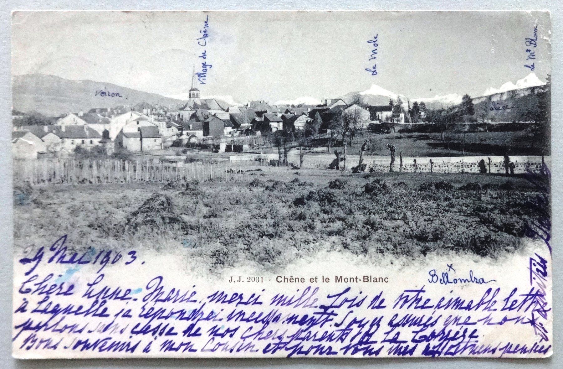 Cartes postales: Chêne et le Mont-Blanc – D'occasion à Fétigny par Billy2miny