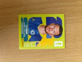 BIH 18 - Edin Dzeko - Panini WM 2026