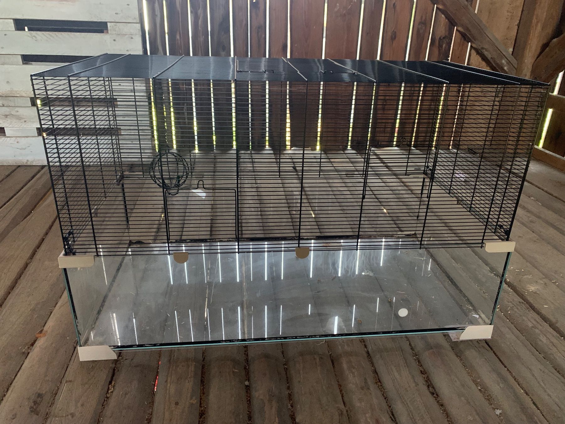 Gabbie, trasporto & Sicurezza: Glas Hamsterkäfig/Nagerheim – Usato da Seuzach venduto da steven_mueller01 1