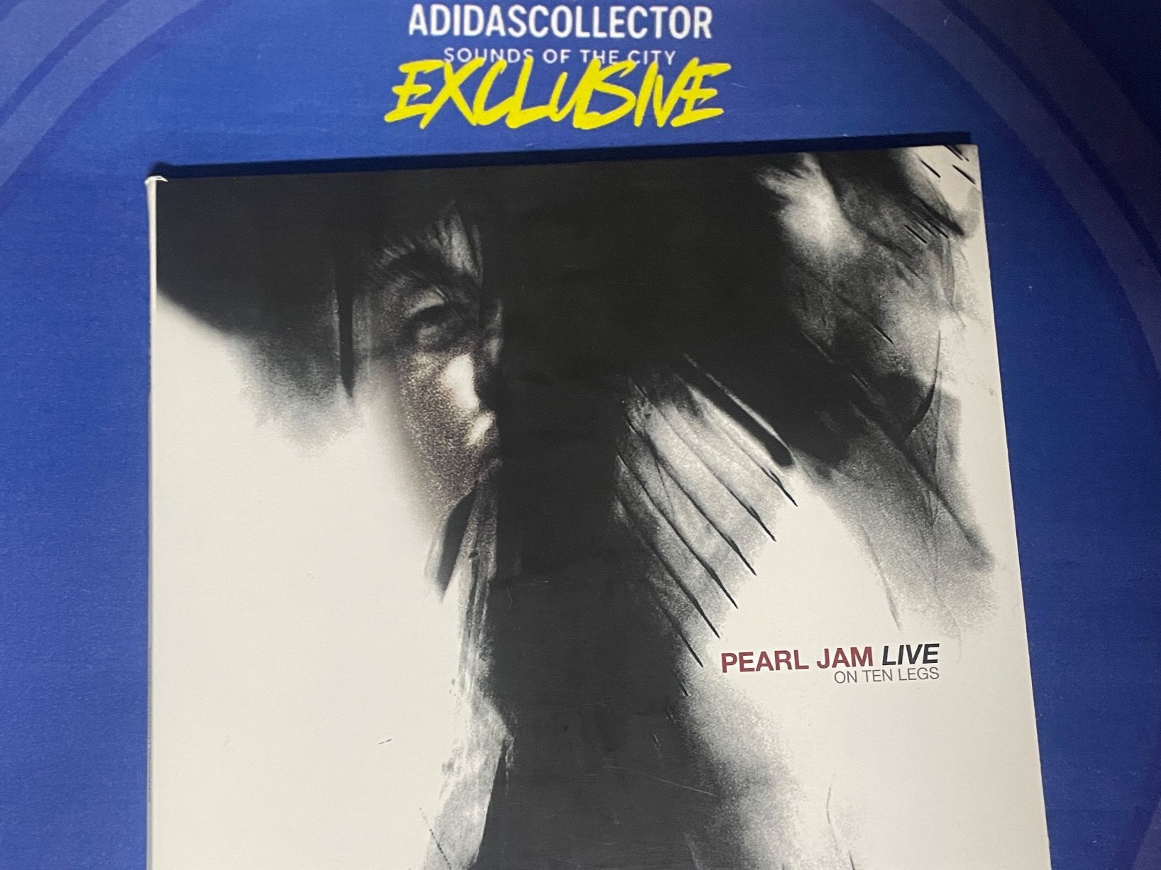 CDs: Pearl Jam 5x – Gebraucht aus Muri b. Bern von AdidasCollector 1