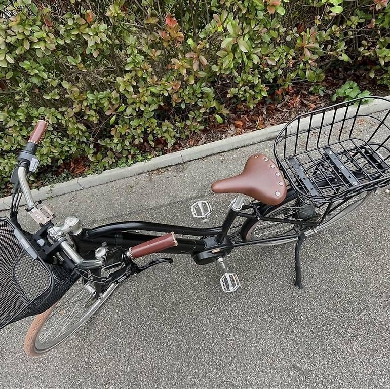 Biciclette: E-Bike von Ego Movement, Cleopatra – Usato da Zürich venduto da ipekc 1