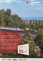 SBB Tageskarte gültig bis 28.10.2026
