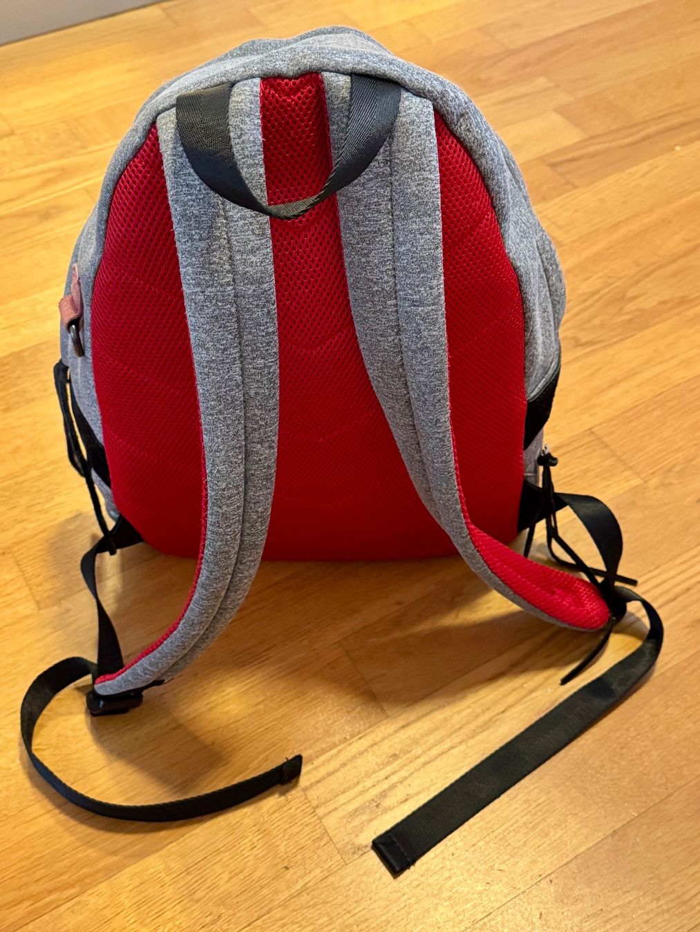 Diesel Zaini: Diesel Rucksack Backpack Scuba – Usato da Wettingen venduto da AskaB