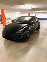 Tesla Model Y Performance