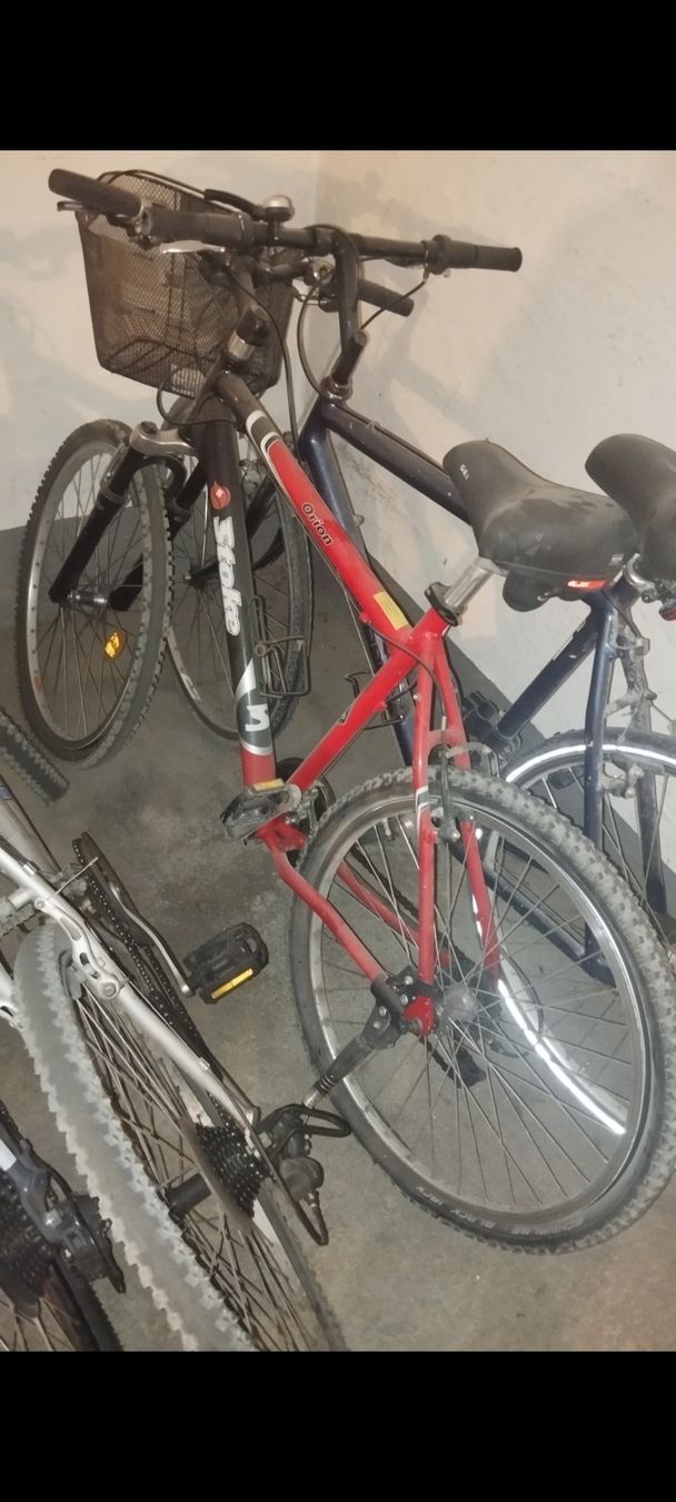 Biciclette: FAHRRAD 💖 – Usato da Dübendorf venduto da Artemis93