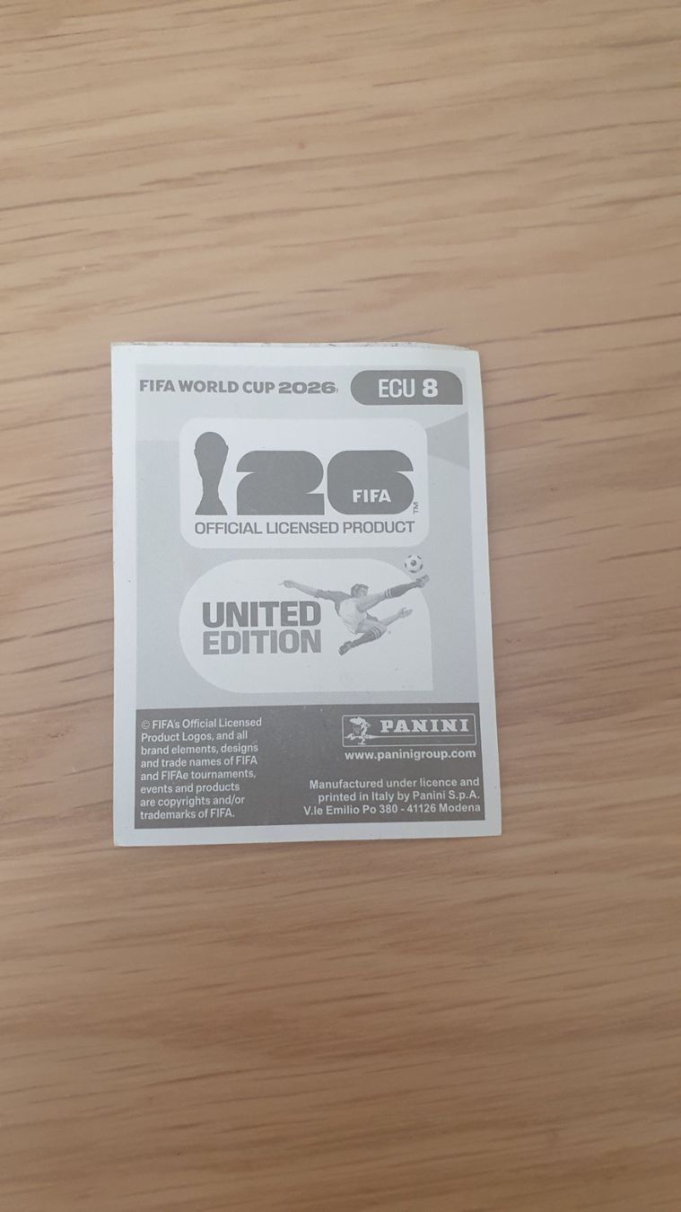 Panini Carte collezionabili: Panini – Usato da Aarau venduto da mbu14 1