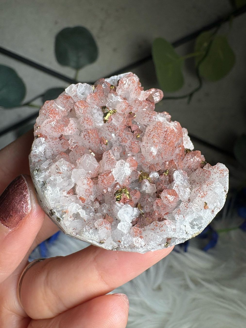 Pietre preziose: Roter Quarz-Cluster mit Pyrit – Nuovo (secondo la descrizione) da Neuheim venduto da m.hald 6
