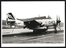 Fotografie Flugzeug Fairey Gannet der Ro