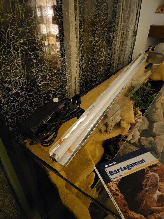 Terrarium Wüste warm für z.B. Bartagame 1.5m x 0,5m x 0,6m Kaufen auf