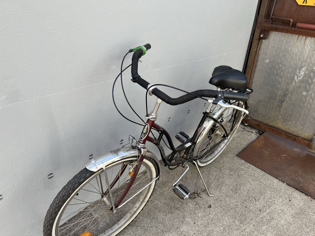 Biciclette: Velo – Usato da Brugg AG venduto da bin_6yhz 2